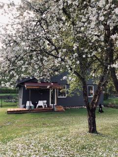 Pelēkā Māja, forestside getaway house for cosy stays - 5