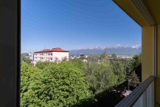 Tatra's View Apartment - 4