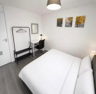 Convenient Modern Lrg 2 Bedroom w WiFi and Parking - 4