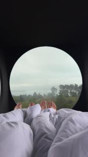 Birdbox Forland - 3