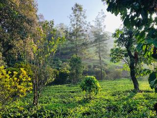 MAVERICK HOLIDAYS INN VAGAMON Family Villa - 9