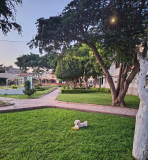 Hospedaje Central Talara - a pocos minutos del aeropuerto y centro de la ciudad - 6