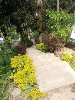 Forest Rawana homestay Ella - 7