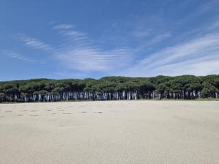 Vacation Apartment Ruggero 1 with Sea View - 1