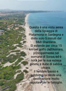 B&B SHARDANA - 9