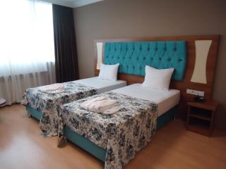 Golden Lounge Hotel - Istanbul - 1