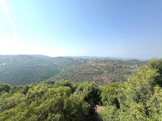 Shiva, Abdelli Guesthouse - 8