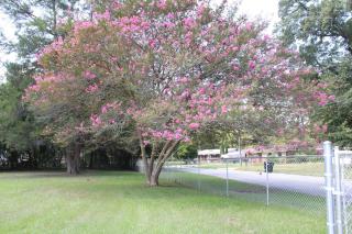 Southern Inspiration by Design LLC - 2