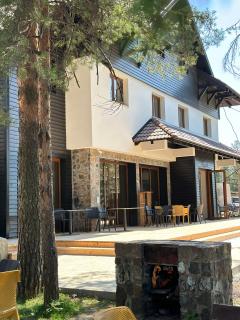 Vila Plamenac - 7