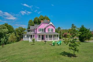 The Pink Lady - 6