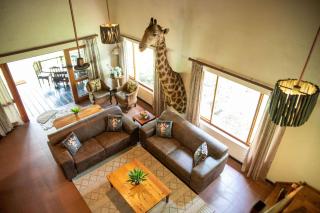 Lulu Safaris on Kruger - 5