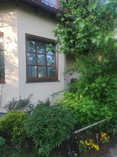 Boutigue city house with terrace and garden free parking - 6