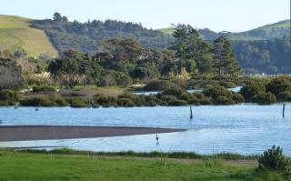 Oystercatcher Bay Boathouse - Coromandel - 7