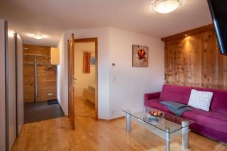 Sonnplatzl Appartement Kirchberg - 4