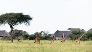 Olkarien Eco Safari Lodge by Acacia Collections - 9