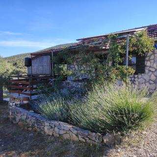 House Soline - Tkon - 0