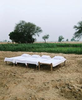 Joon Farm - 6