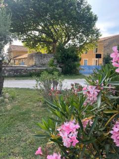 Domaine du grand platane - 8