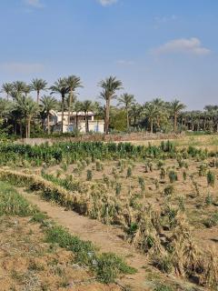 Dahshur Pyramids View Inn - 4