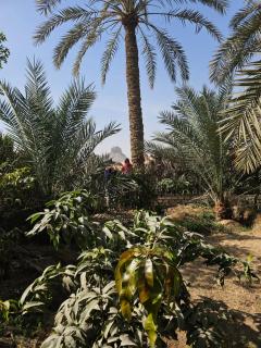 Dahshur Pyramids View Inn - 3