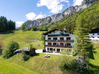 Berghof Haselsberger Appartements - 0