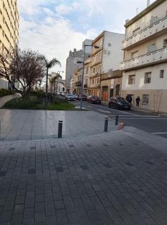 Gorrión del sur - 2