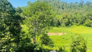 Wild Resort Ella - 2