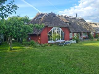 Ferienhaus Sommer - 8