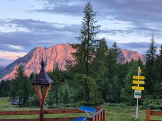 Tauplitzhaus der Naturfreunde - Naturfreundehaus auf der Tauplitzalm - 8