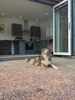 Caban Milany, Log Cabin Farm Stay in Brecon Beacons - 2