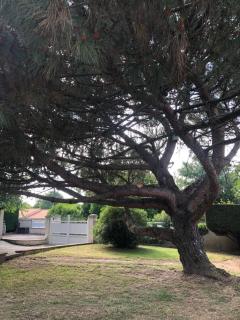 Maison de campagne en Charente - 9