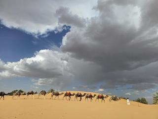 Arena Hostel Camp - Merzouga - 2