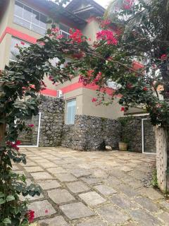 Flat das Begonias1 - 9