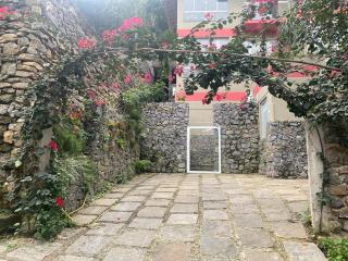 Flat das Begonias1 - 6