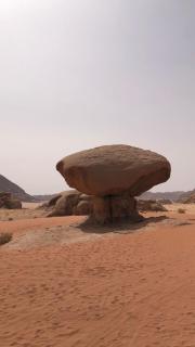 Al-Majarah Camp - 5