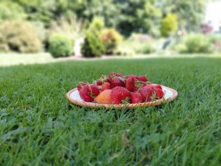 Gîte des fraisiers - 0
