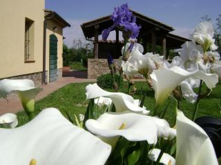 La Toscanella - 1