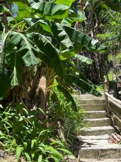CJ's Creole Hideaway - 6