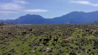 PETRASTERO Mountain Retreat-Agrafa Evrytania Greece - 4