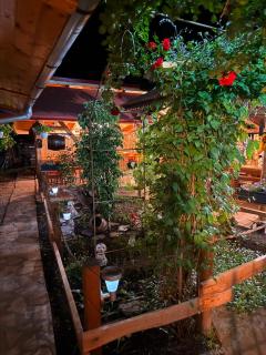 Casa Cosmin - 2