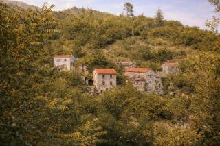 Tipi Nature a l'Ombre des Tilleuls à Vialas en Cévennes - Animaux ferme - 2