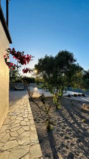 Olive Garden Villa - 2