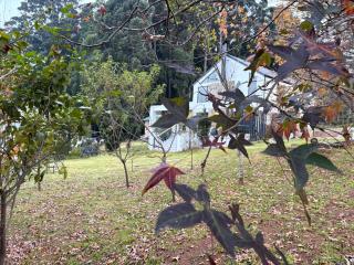Nest On Thula - 7
