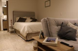 Loft in Roma Norte, Mexico City - 2