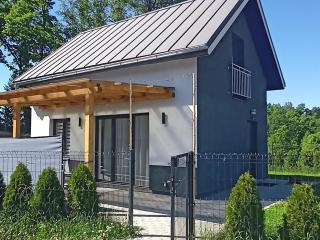 Pine Peak Holiday House Sosnówka - 1