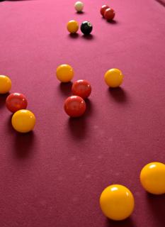 Le Nid de Mazerolles - 3