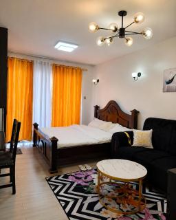 Homely studio, kileleshwa - 0