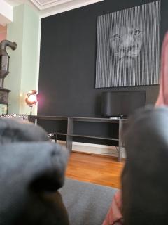 Urban Loft Basel- 15 min airport-city-SBB train station - 8