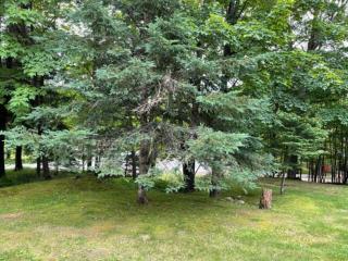 2 bdrm Tremblant Haven-pets & spa-walk/ski to hill - 4