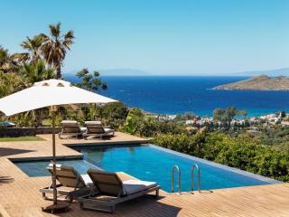 Bodrum Luxury VillaSea View and Private Pool - 1